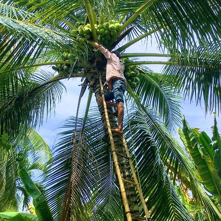 Coco Happy Farm Villa Ben Tre Exterior photo