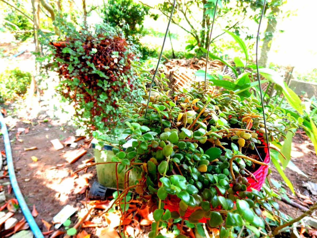 Coco Happy Farm Villa Ben Tre Exterior photo